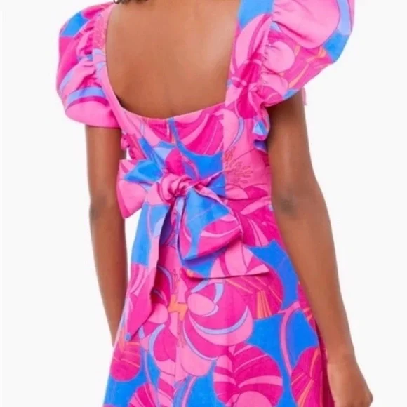 Tuckernuck Vibrant Pink and Blue Midi Dress - Picture 3 of 5